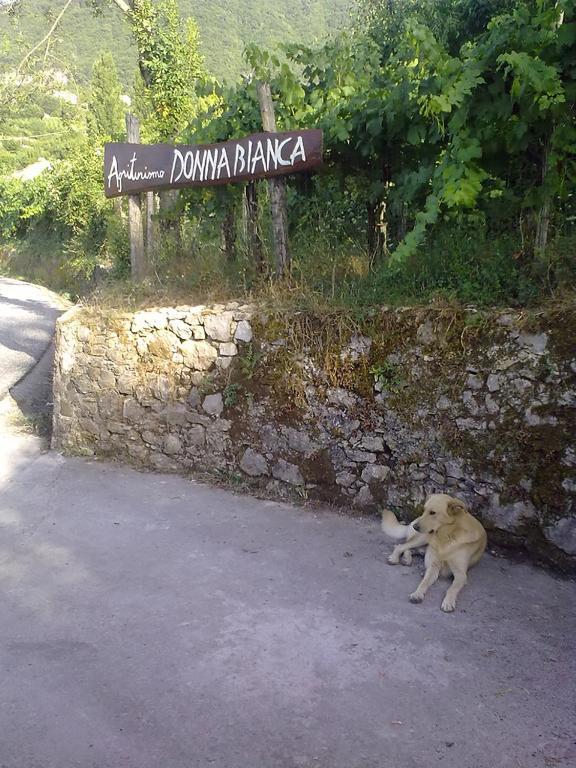 Agriturismo Donna Bianca มอร์มานโน ภายนอก รูปภาพ